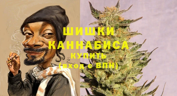 гидропоника Пересвет