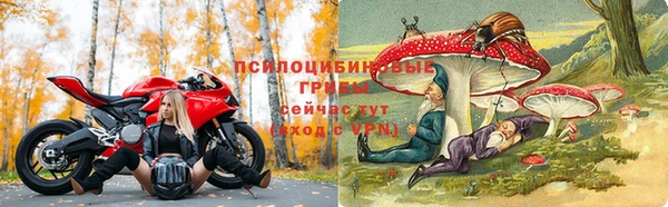 герыч Алексин