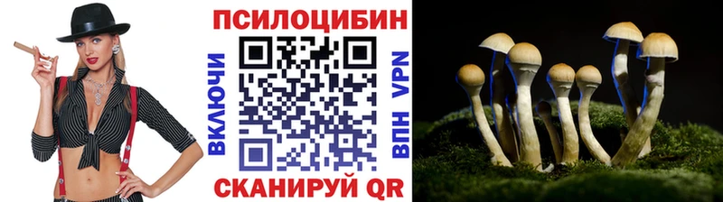 продажа наркотиков  Байкальск  Галлюциногенные грибы прущие грибы 